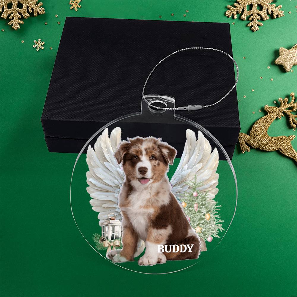 Your Pet is Special To You, Always, Memorial Personalized Acrylic Ornament Pet Plaque