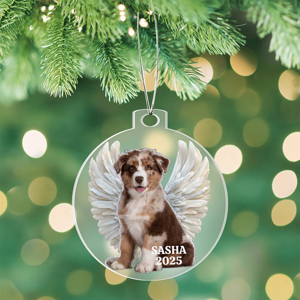 Unique Pet Memorial Acrylic Ornament Plaque. Personalized.