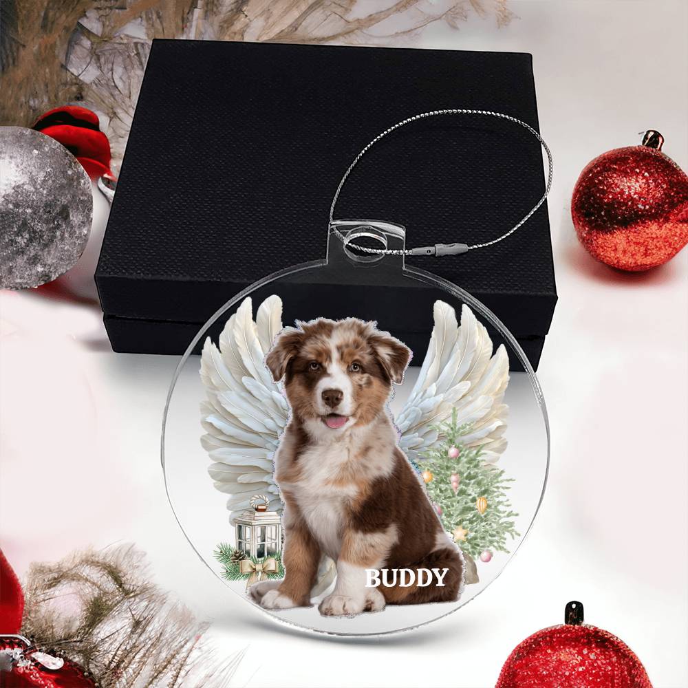 Your Pet is Special To You, Always, Memorial Personalized Acrylic Ornament Pet Plaque