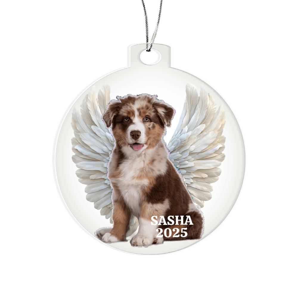 Unique Pet Memorial Acrylic Ornament Plaque. Personalized.