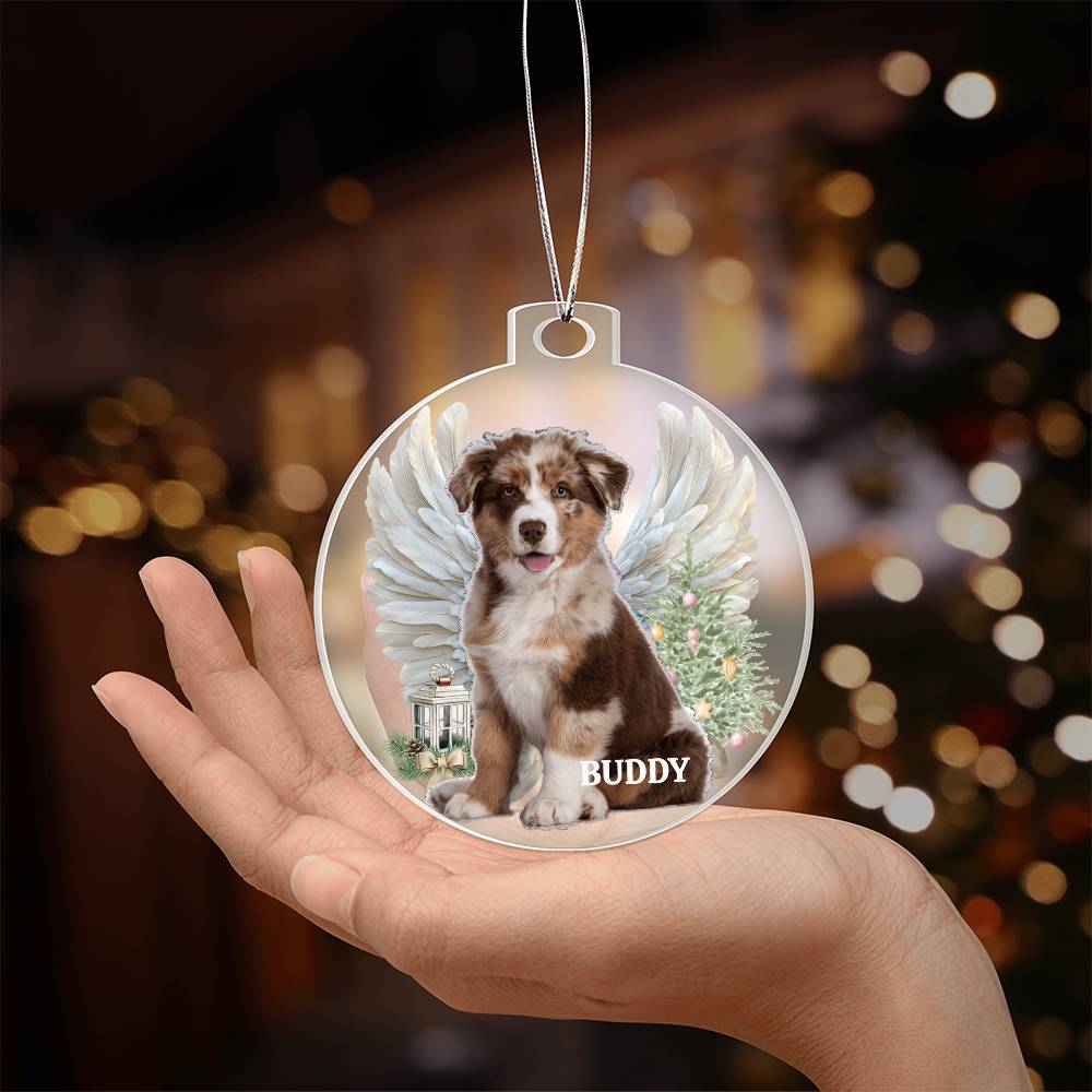 Your Pet is Special To You, Always, Memorial Personalized Acrylic Ornament Pet Plaque