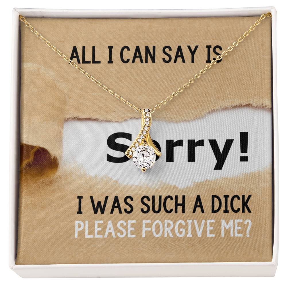 Sorry I Was Such A Dick, Please Forgive Me?