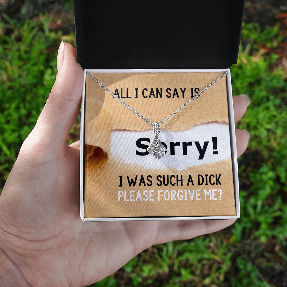 Sorry I Was Such A Dick, Please Forgive Me?