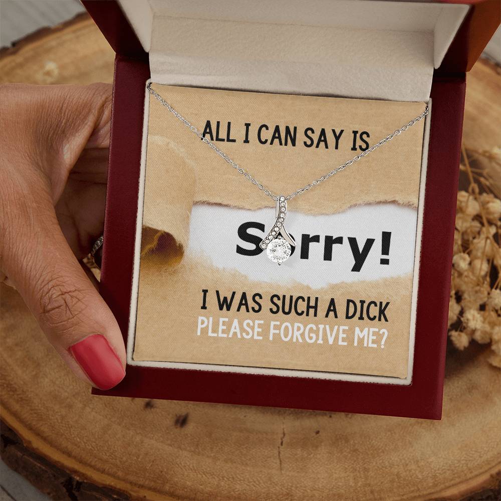 Sorry I Was Such A Dick, Please Forgive Me?