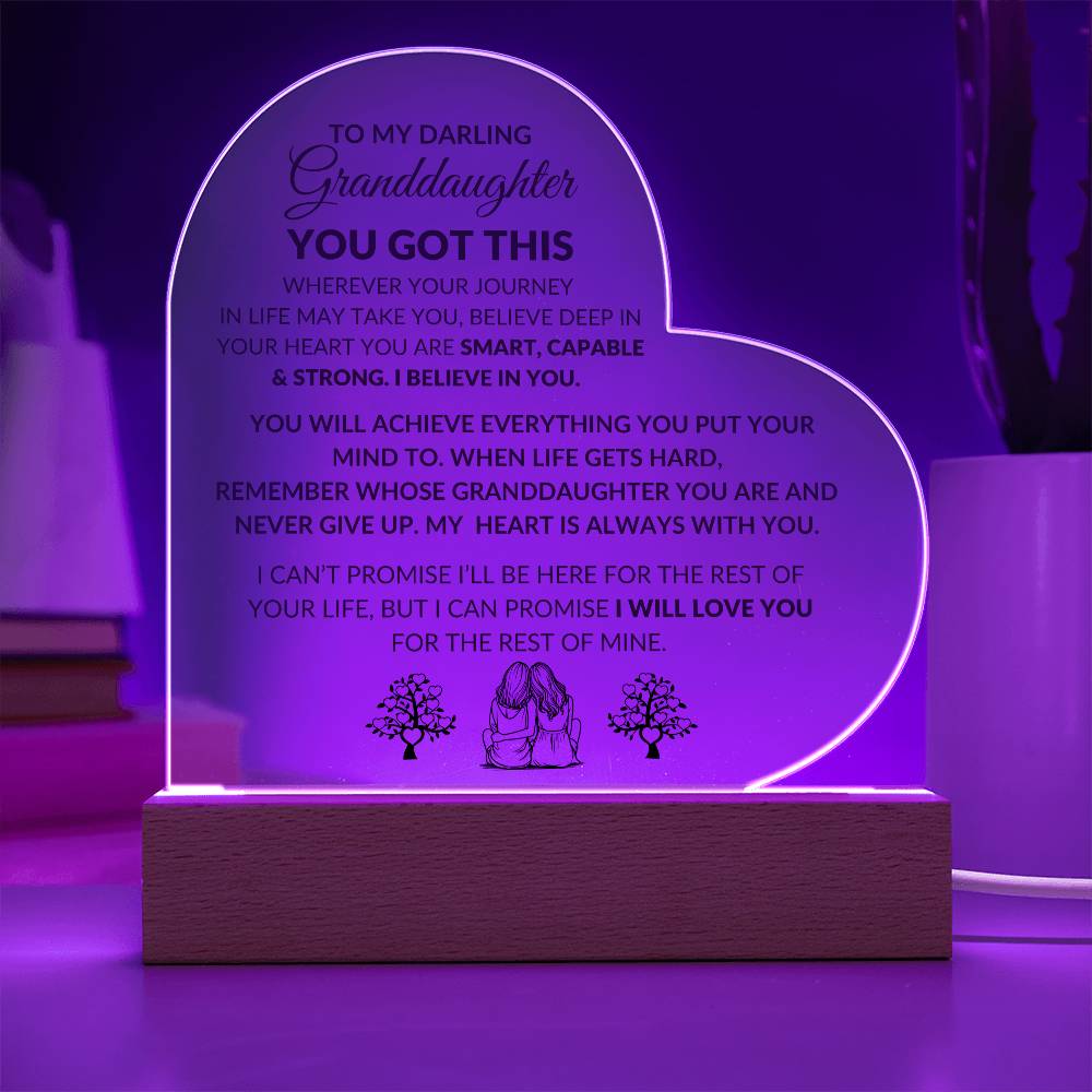 Granddaughter YOU GOT THIS, Acrylic Night Light