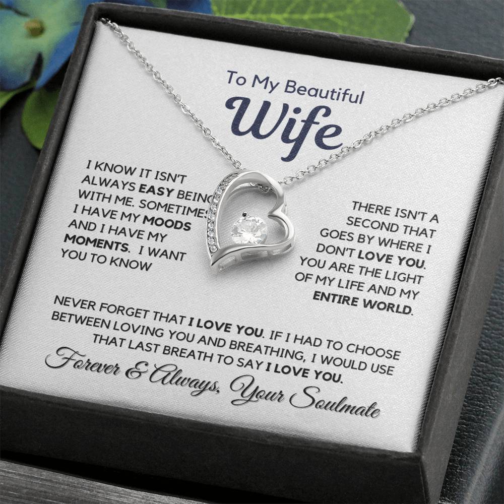 I Know It Isn't Easy My Beautiful Wife