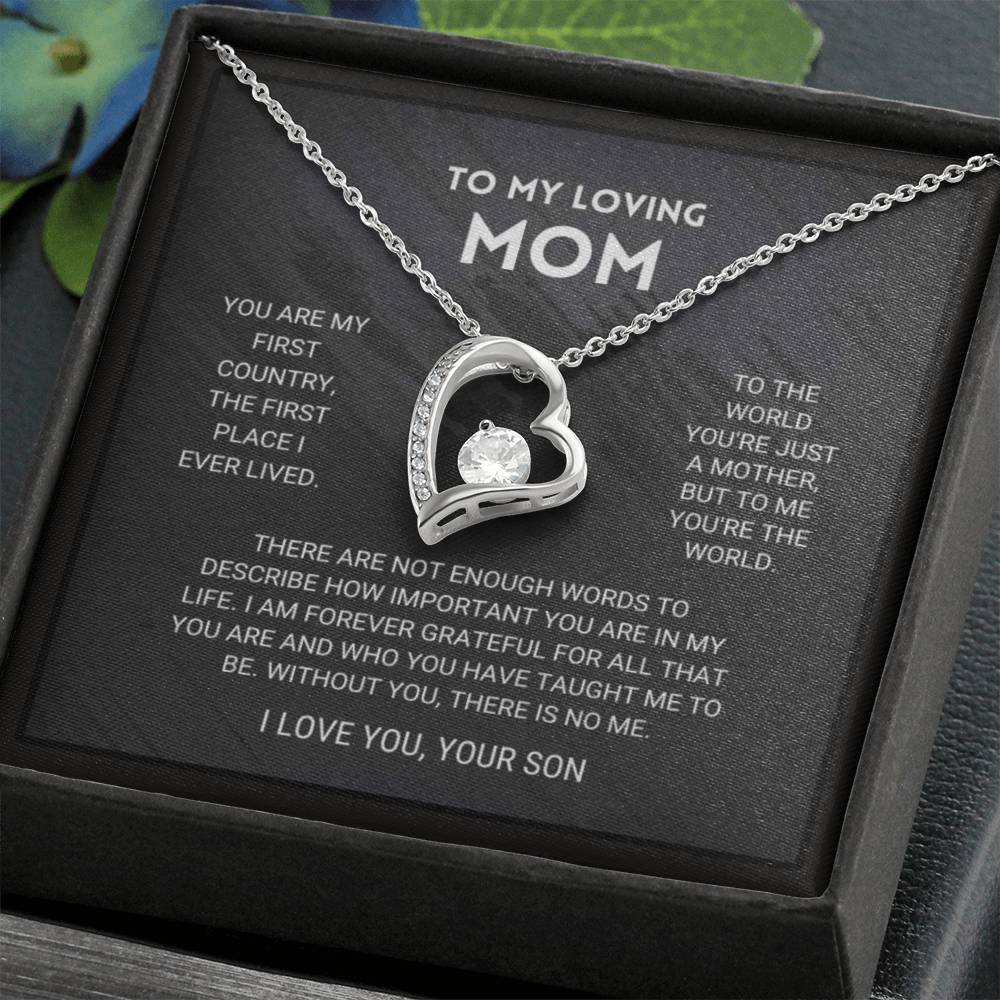 I Love You Mom, Love Your Son