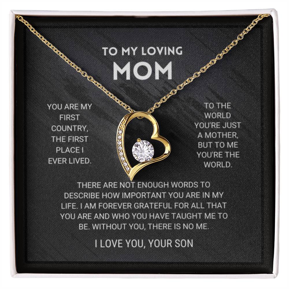 I Love You Mom, Love Your Son