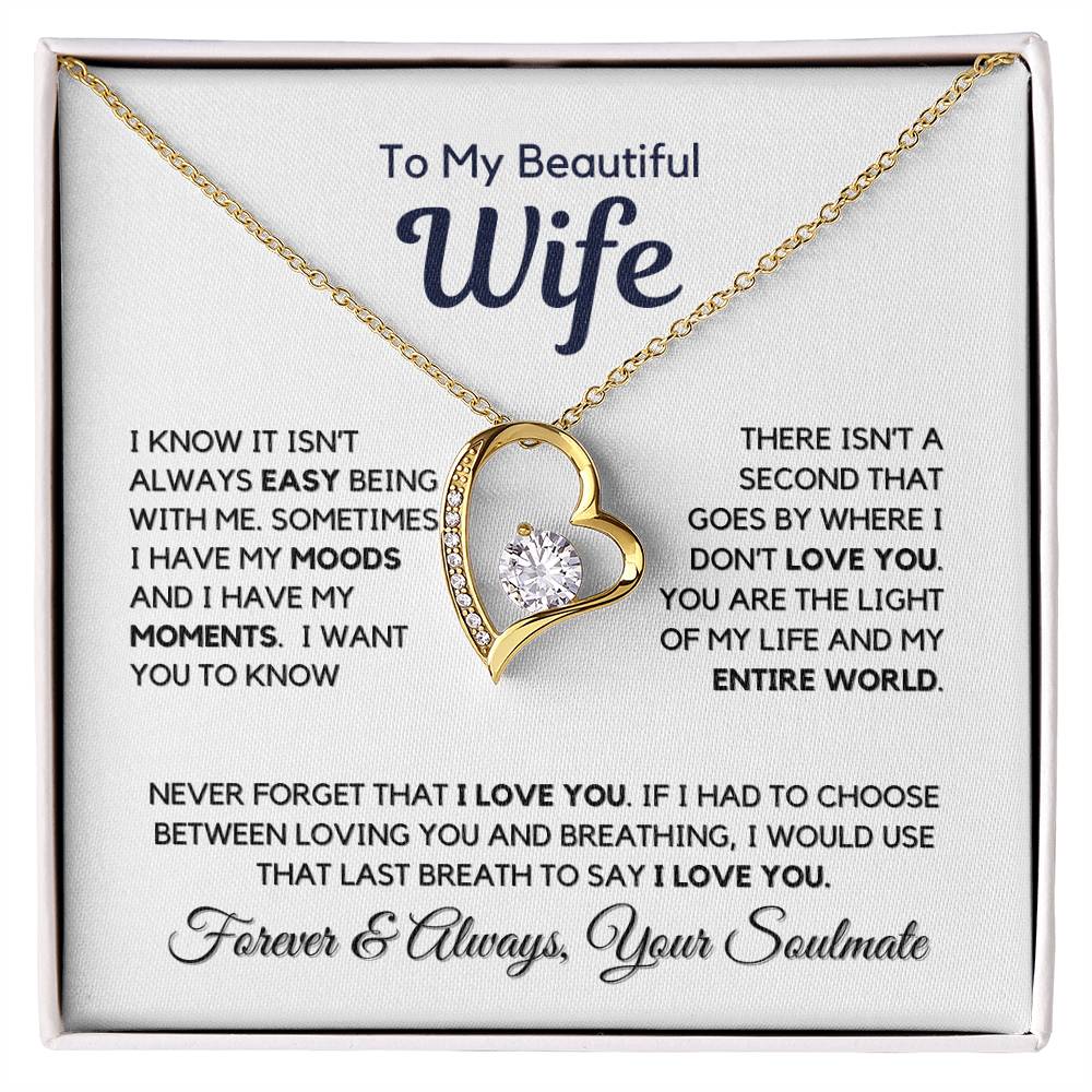 I Know It Isn't Easy My Beautiful Wife
