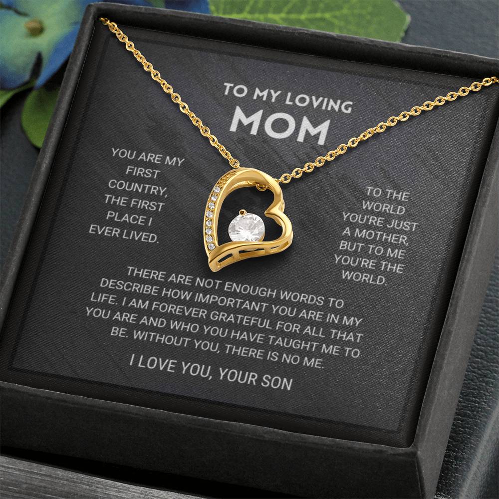 I Love You Mom, Love Your Son