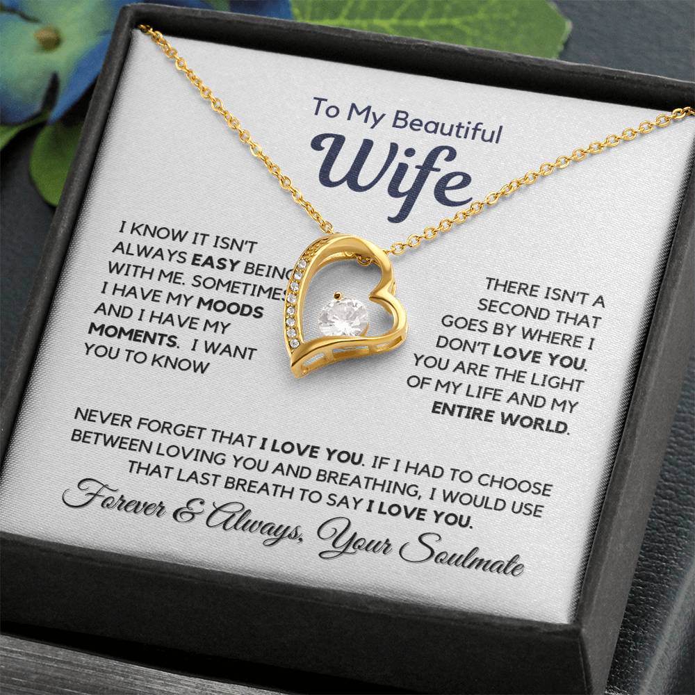 I Know It Isn't Easy My Beautiful Wife