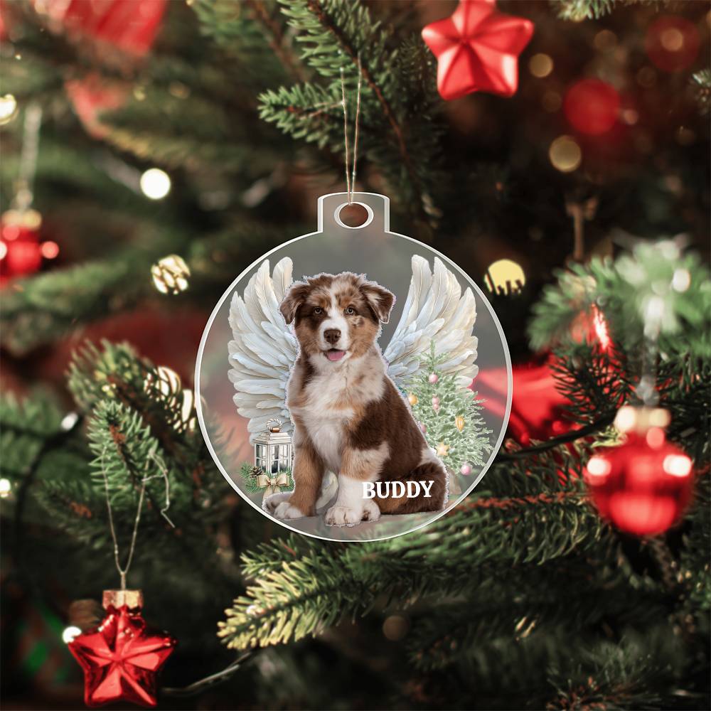 Your Pet is Special To You, Always, Memorial Personalized Acrylic Ornament Pet Plaque