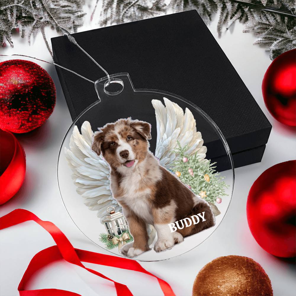 Your Pet is Special To You, Always, Memorial Personalized Acrylic Ornament Pet Plaque