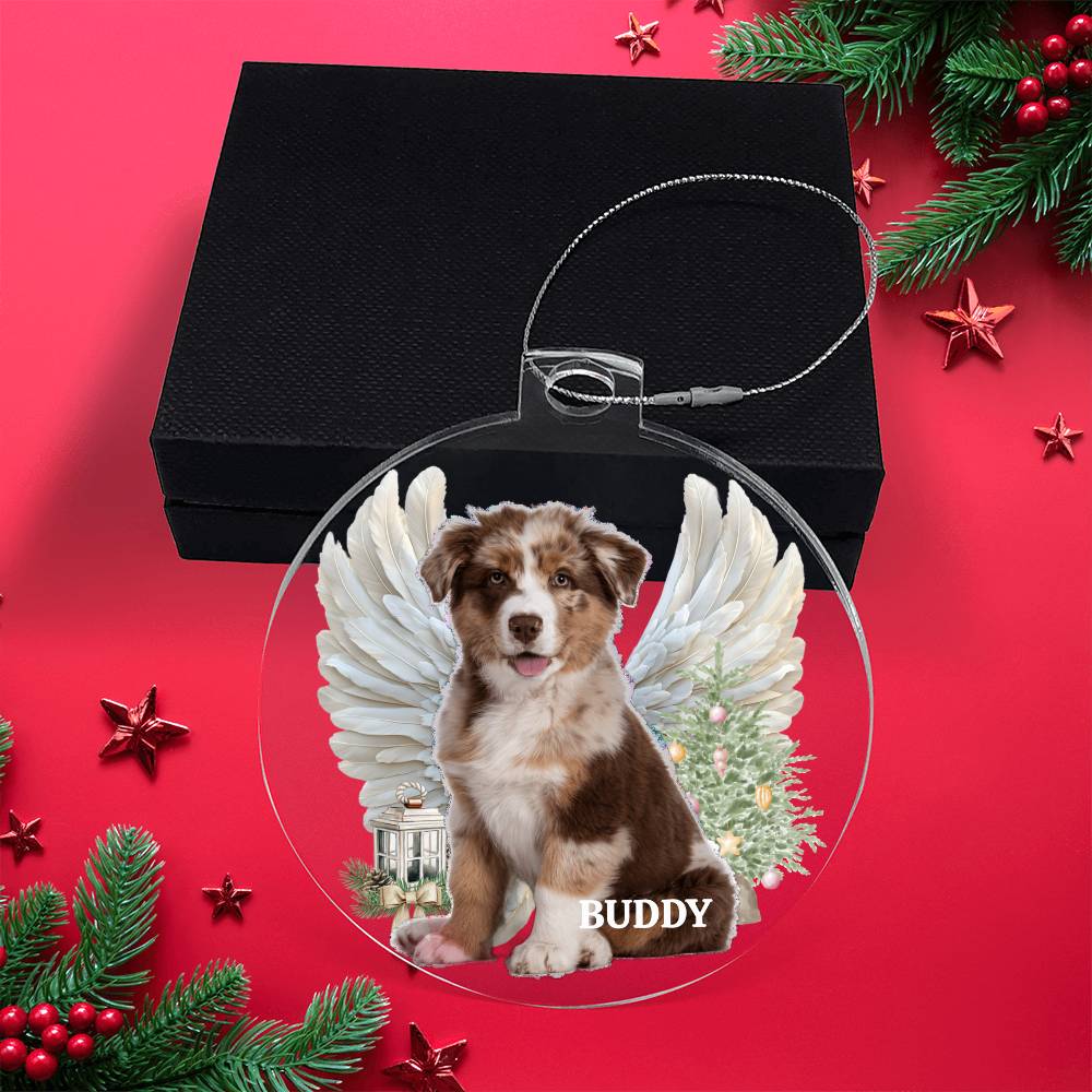 Your Pet is Special To You, Always, Memorial Personalized Acrylic Ornament Pet Plaque